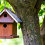 How To make a birdhouse