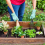 How To make a raised bed garden