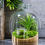 How To make a terrarium water feature