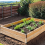 How To build a raised garden bed